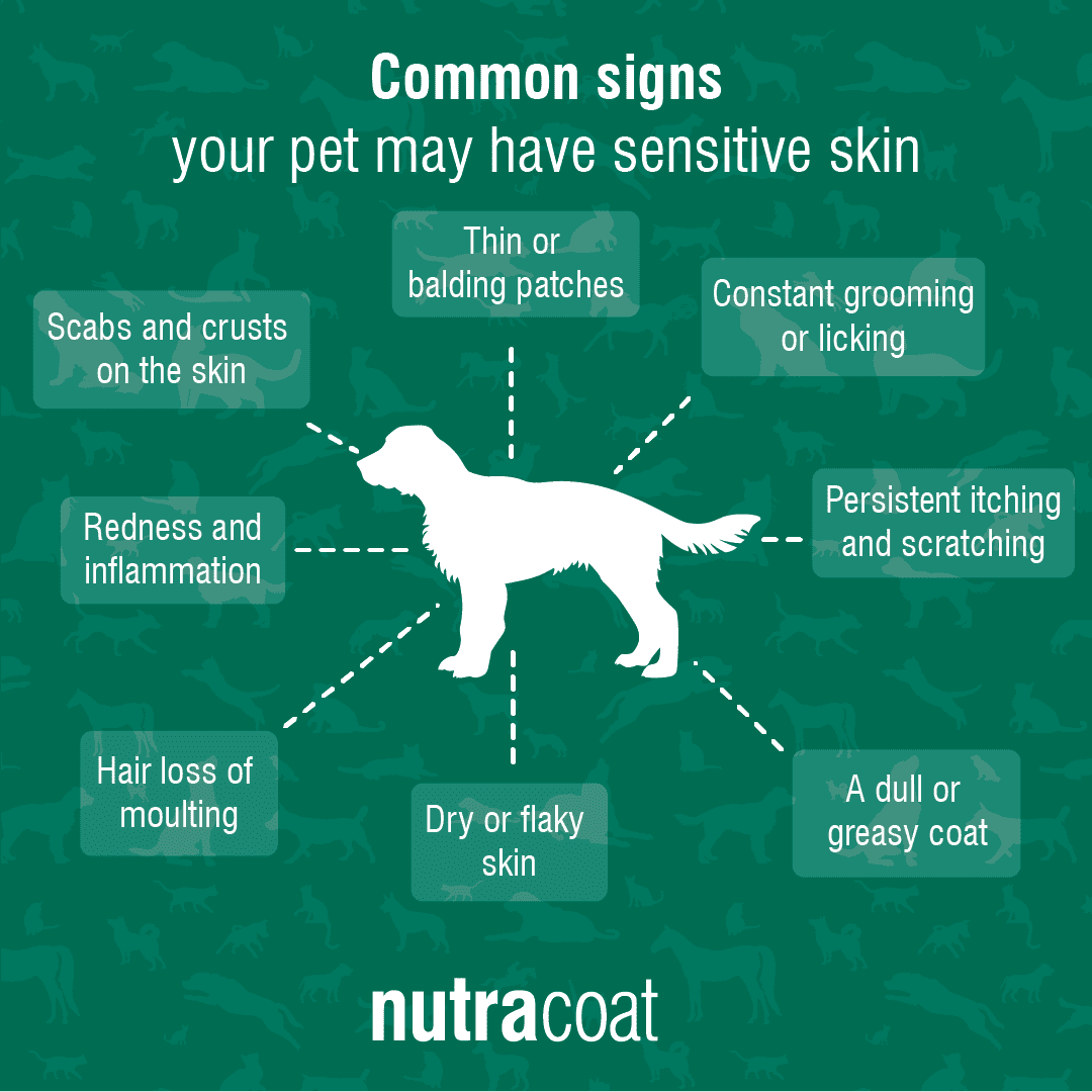 sensitive skin in pets