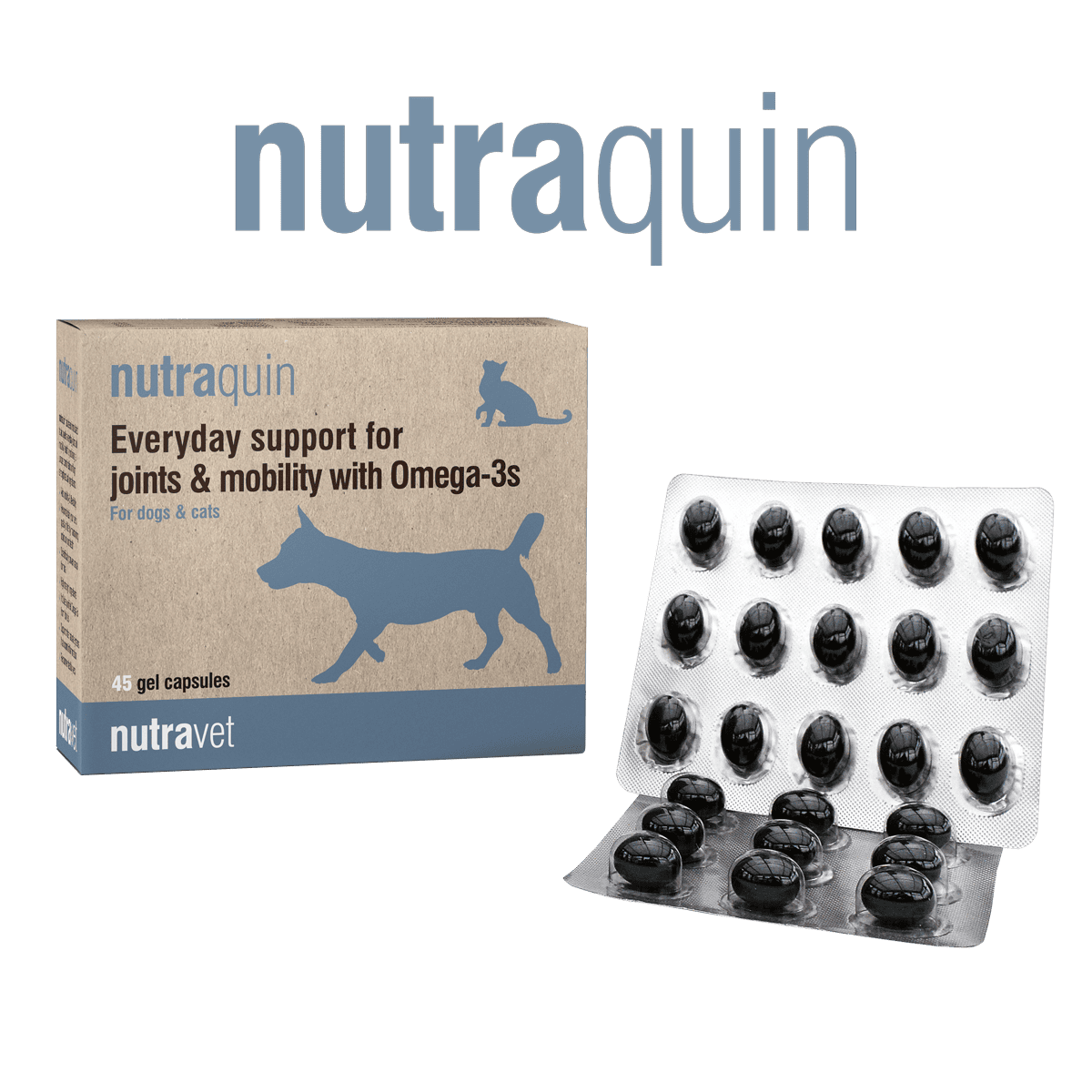 should dogs take joint supplements