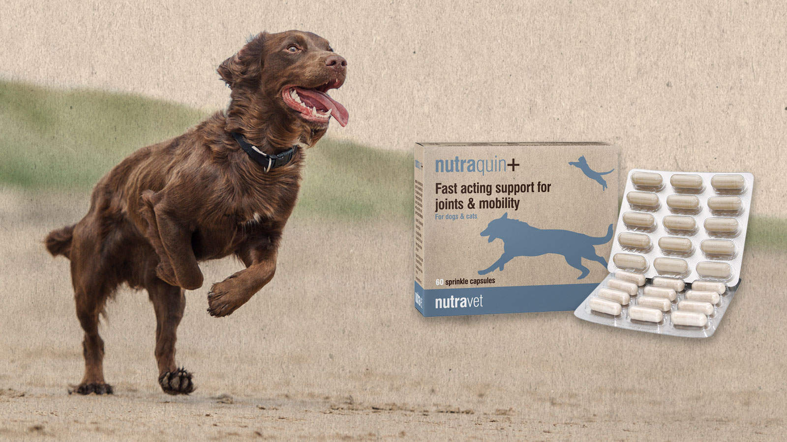 Nutraquin+ Fast Acting Joint Supplement For Dogs & Cats